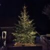 Nordmann Kerstboom 125 - 150 CM - Afbeelding 3