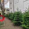 Nordmann Kerstboom 125 - 150 CM - Afbeelding 9